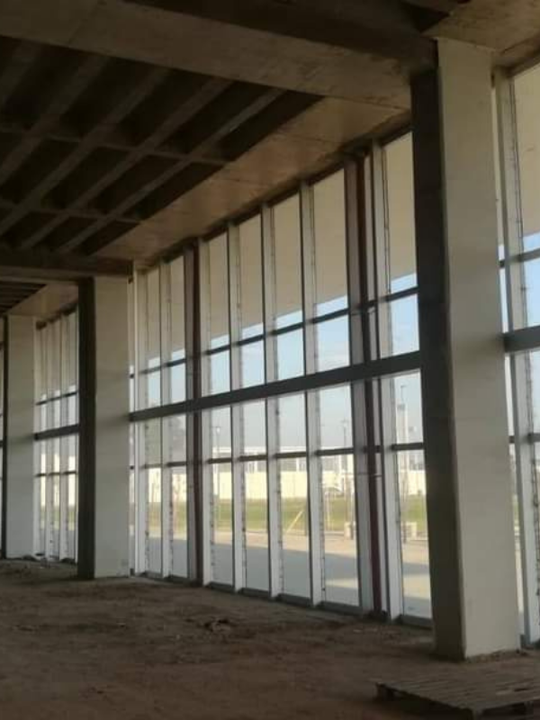 ENCOMIENDA AL D.E. GESTIONE INFORME SOBRE EL HOSPITAL REGIONAL SUR